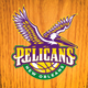 Illustration for article titled Fuck You, Pelicans Are Awesome: A Defense Of The NBA's Best New Team Name